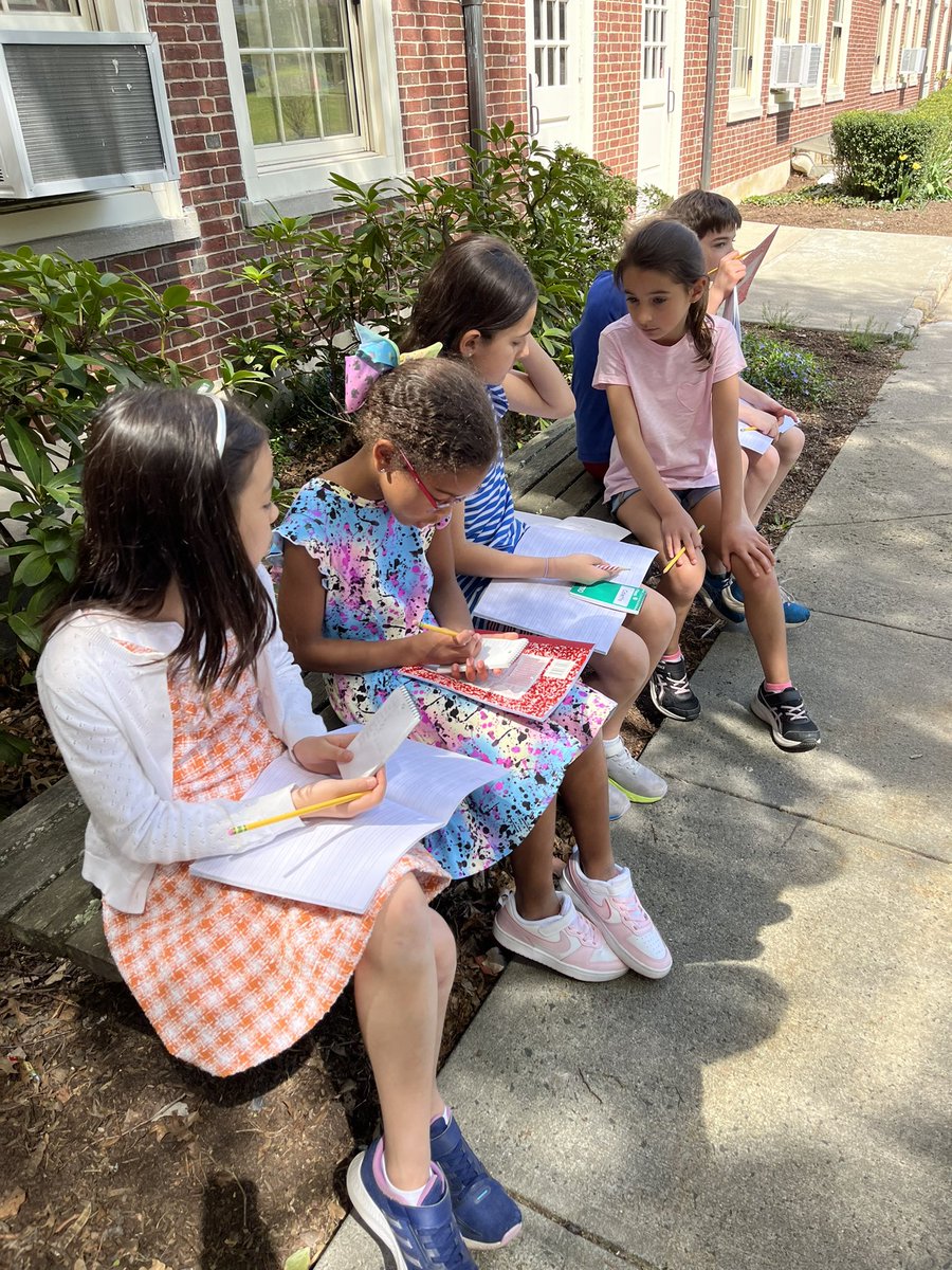 Teri Peragallo tweet media