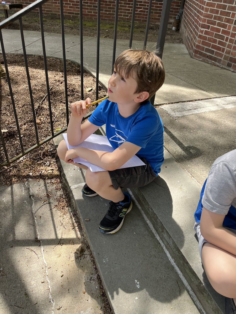 Teri Peragallo tweet media