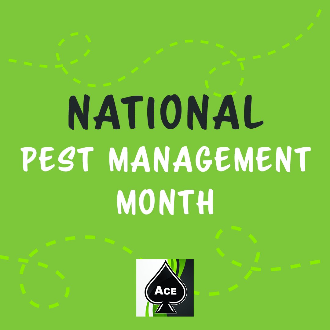 pestcontroltn's tweet photo. Celebrate this month by working with your local pest control company, Ace Exterminating! Our team would be delighted to keep your home pest-free this month and always. 🏡 https://t.co/KSEE5Yu7RI