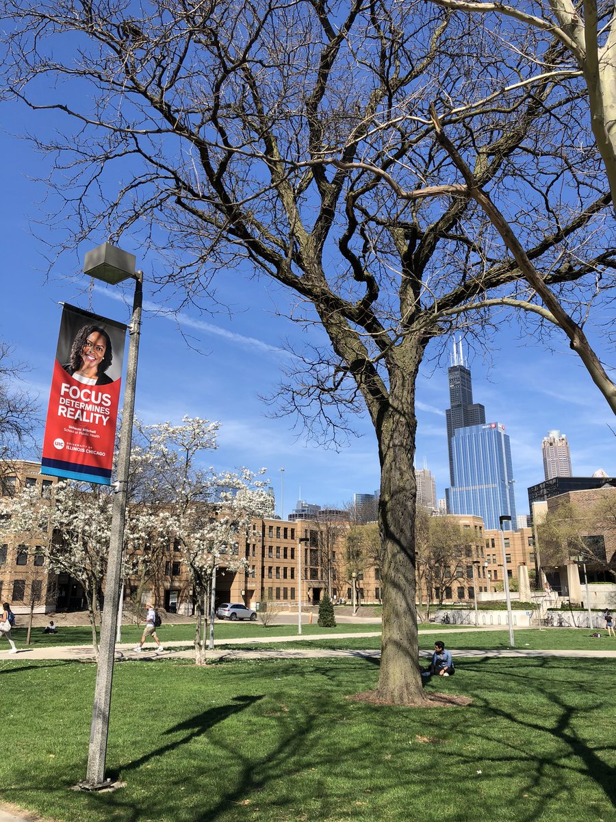 Luke Green tweet media