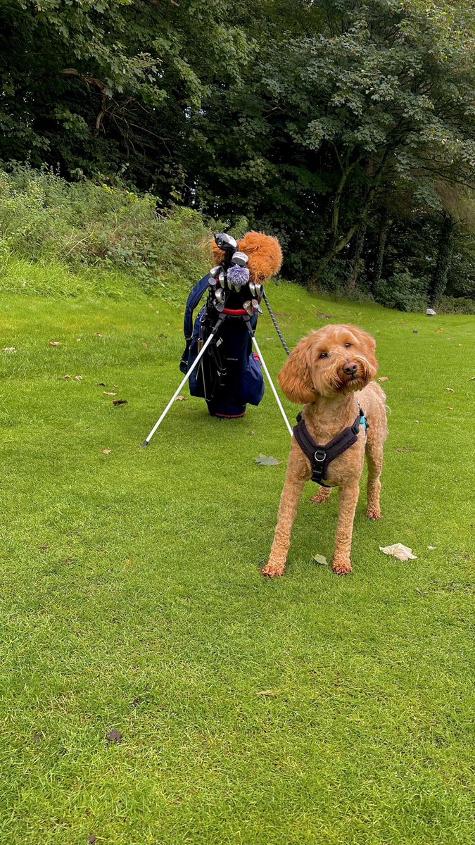 Liam Scott tweet media