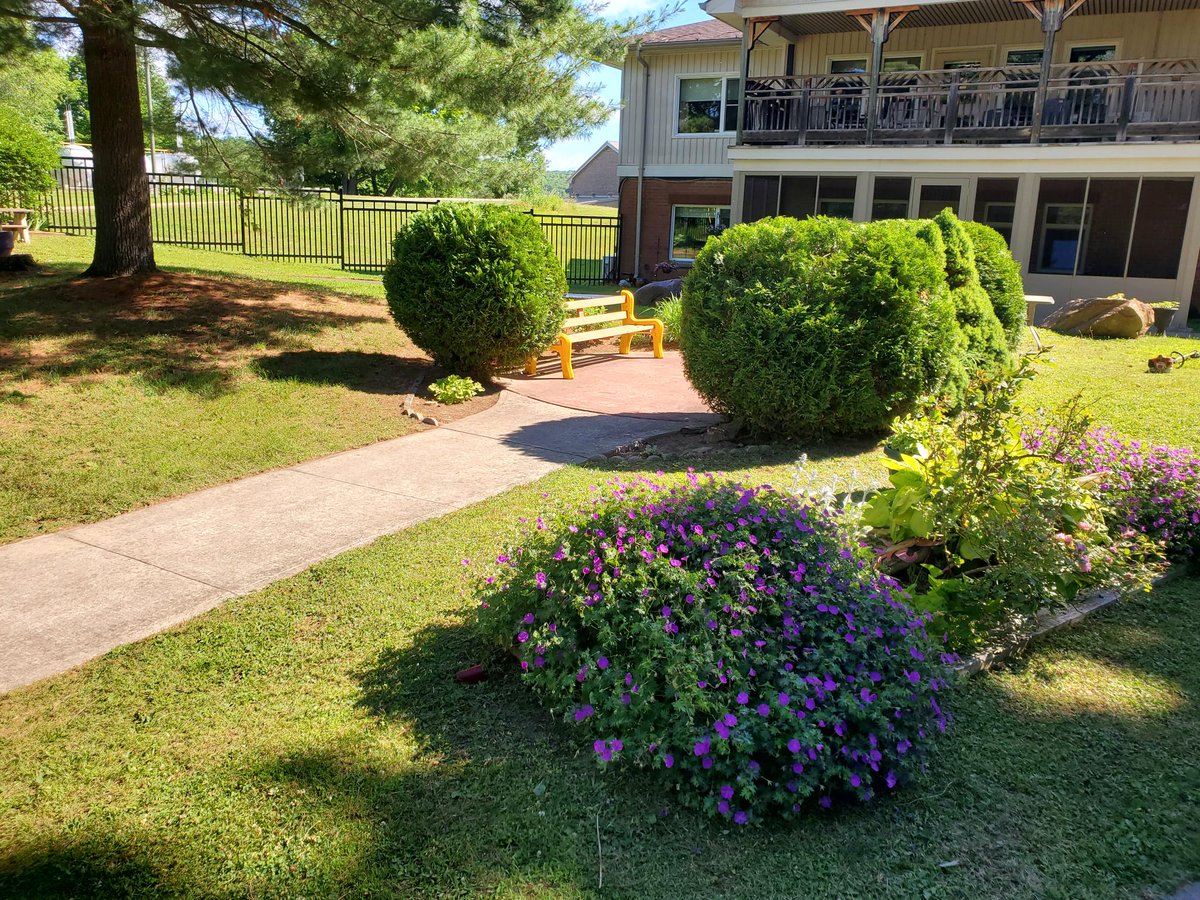 #ppm 
#propertymaintenance 
#landscaping