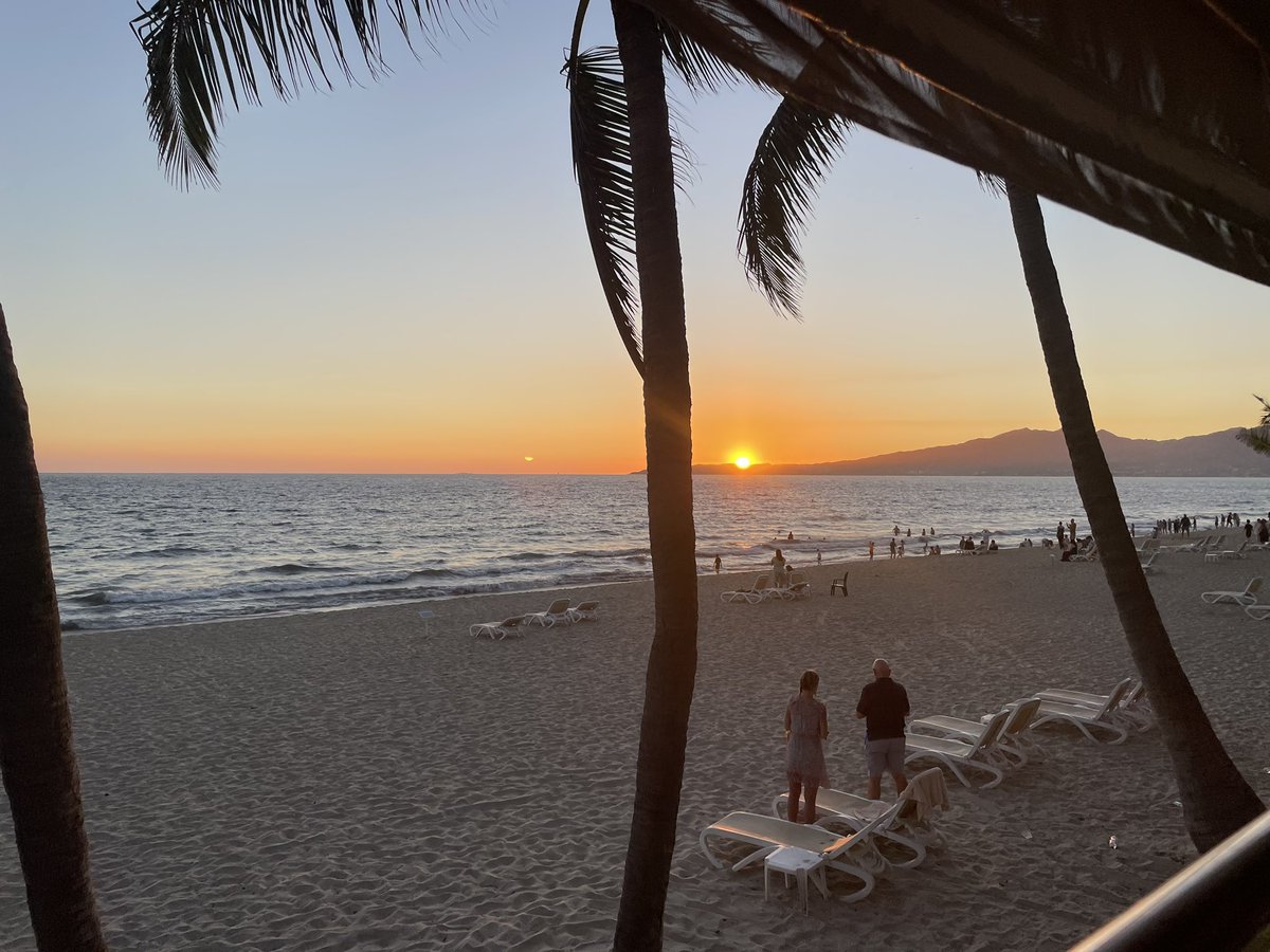 Courtney Dallyn tweet media