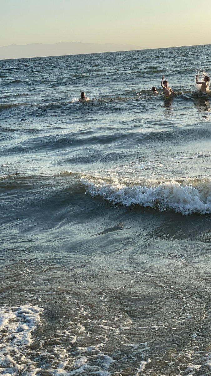 Courtney Dallyn tweet media