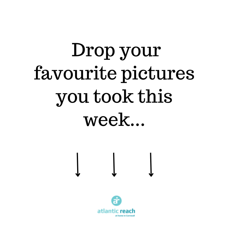 AtlanticReach's tweet photo. Happy Friday! With the Easter Holidays coming to an end, we’d love to see your favourite photos! Drop them in the comments below 😍
If your holiday memories are here make sure to tag us, we’d love to see them 🥰 #FamiliesWhoLoveCornwall https://t.co/3QI63I7AOv