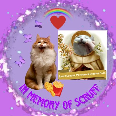 JellyOzzy's tweet photo. #NewProfilePic in honour of my dear furriend @scruffkit #ChickemsForScruff #ChippiesforScruff #Scruffkit #OTRB https://t.co/2LjOZp10VU