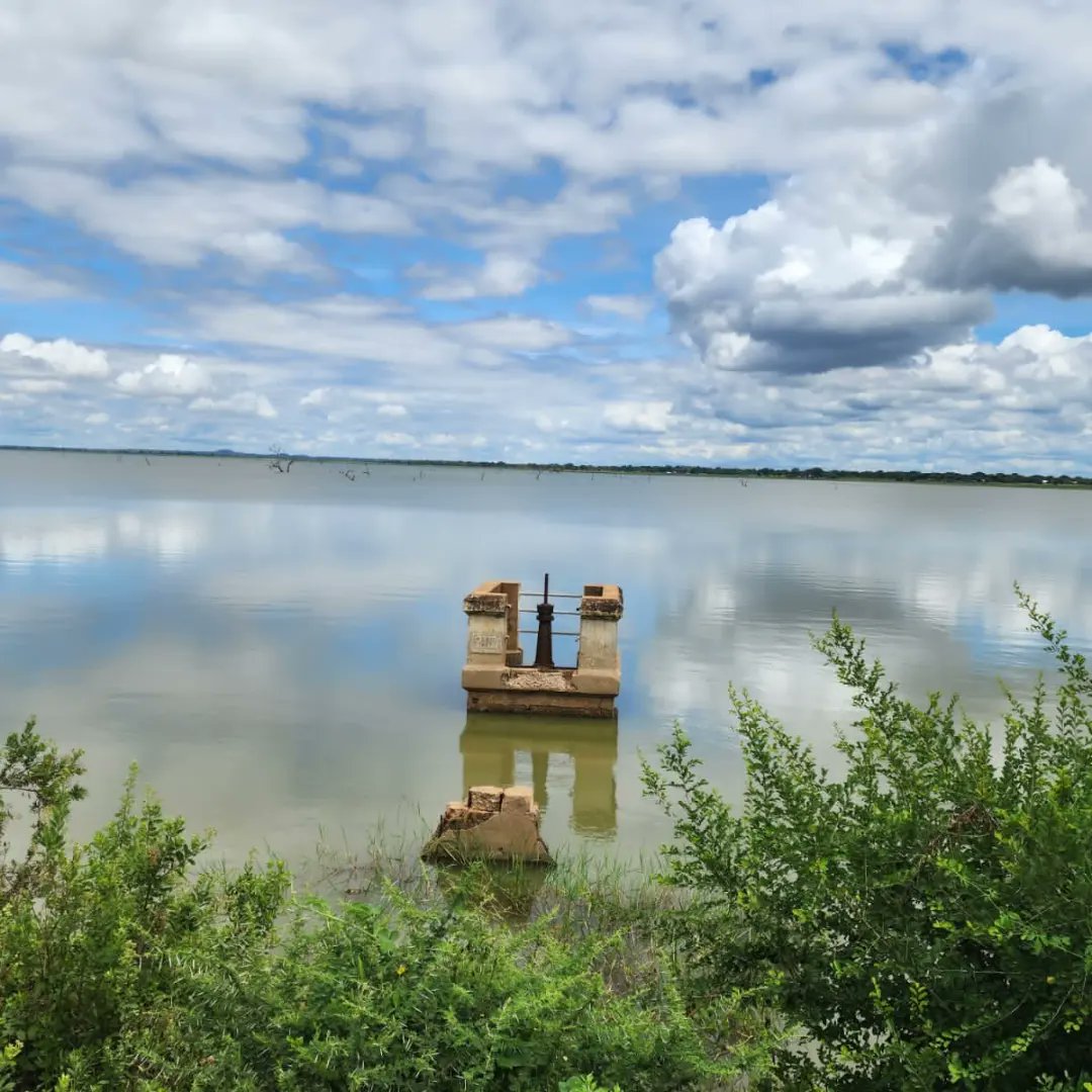 TanzaniaTari's tweet photo. Kamati ya kusimamia miundombinu ya Umwagiliaji katika Taasisi ya Utafiti wa Kilimo Tanzania (TARI) imeendelea na zoezi la utambuzi wa eneo kwa ajili ya Ubunifu na Usanifu wa Miundombinu ya Umwagiliaji katika  Kituo Cha TARI-Hombolo.https://t.co/dB4zJcb1Sl @tzagriculture https://t.co/nwzerpycYl
