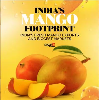 MoneycontrolH's tweet image. #Mango: गर्मियों के साथ आ गया है आम का भी मौसम, आम भारत और दुनिया भर में सबसे ज्यादा पसंद किए जाने वाले फलों में से एक है लेकिन क्या आपको पता है इसकी कितनी वैरायटी हैं ? और यह किस स्तर पर भारत से निर्यात किया जाता है नहीं ! तो यहां जानिए

#mangovarieties #mangoexport #india