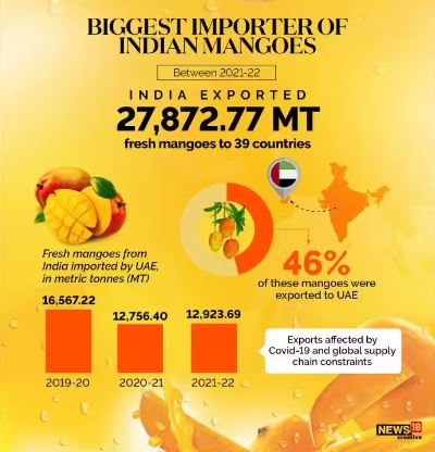 MoneycontrolH's tweet image. #Mango: गर्मियों के साथ आ गया है आम का भी मौसम, आम भारत और दुनिया भर में सबसे ज्यादा पसंद किए जाने वाले फलों में से एक है लेकिन क्या आपको पता है इसकी कितनी वैरायटी हैं ? और यह किस स्तर पर भारत से निर्यात किया जाता है नहीं ! तो यहां जानिए

#mangovarieties #mangoexport #india
