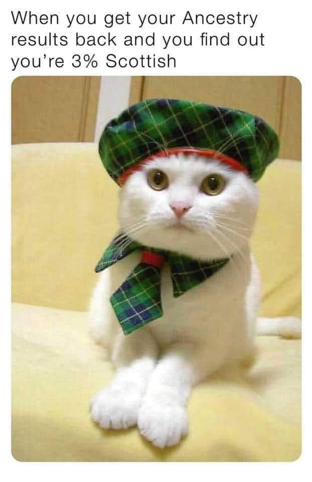 *Hazel Alvarado* tweet media