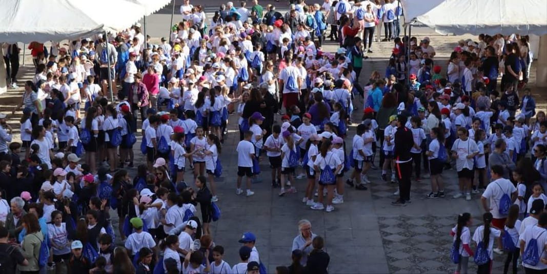 ags_nortedejaen's tweet photo. Jose Antonio Orihuela, Cristina Lujano y Elisa Martínez del Centro de Salud Virgen de la Cabeza han colaborado en  “Andújar  Marcha por la Salud” programa por un millón de pasos
Han participado todos los colegios de Andújar y asociaciones, incluidas las de salud mental 🏃‍♀️🏃🏼‍♂️ https://t.co/rxZDFjYBD0