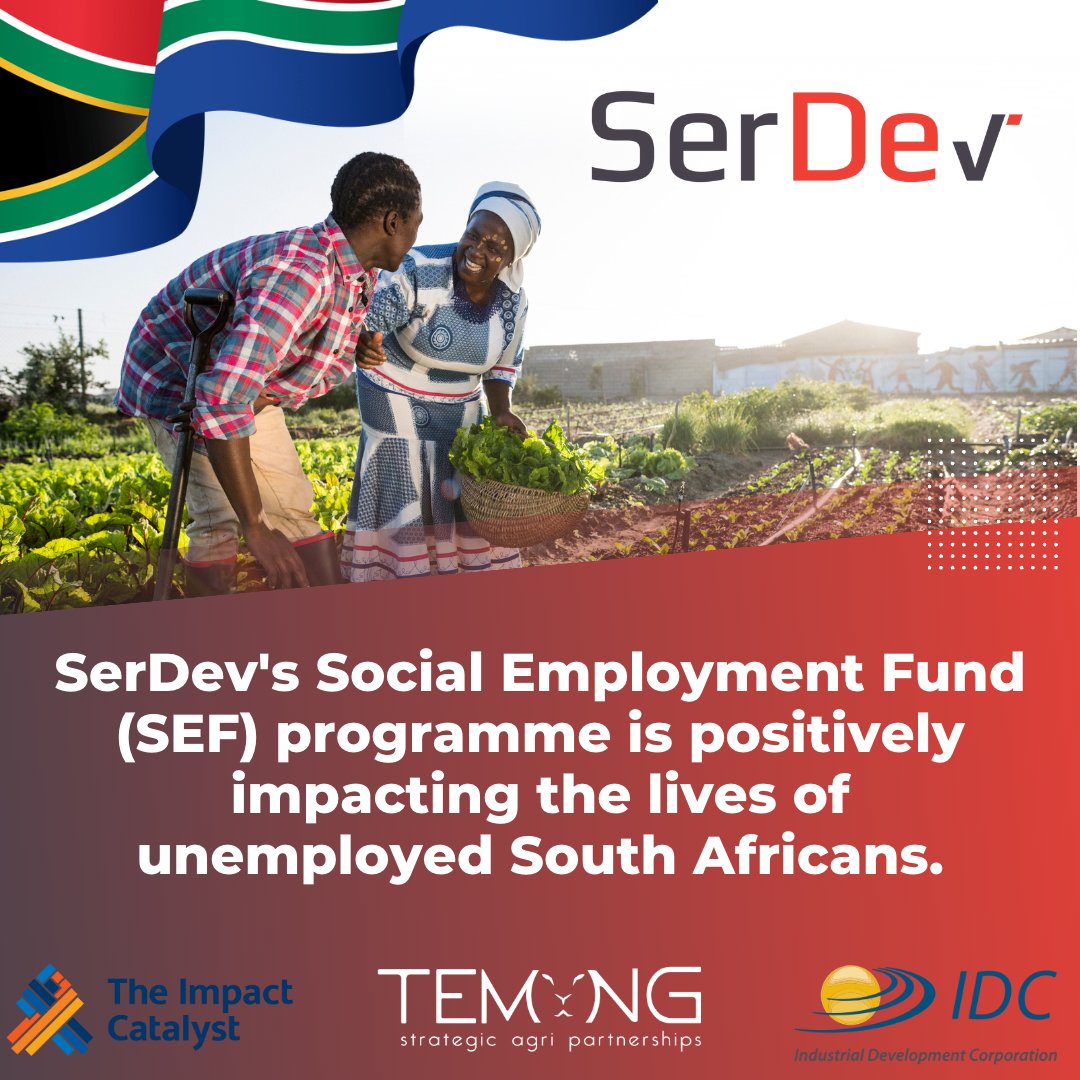 SerDev's SEF program is providing work opportunities and training to improve the lives of unemployed South Africans. With the support of partners Temong, The Impact Catalyst, and the IDC. Learn more about SEF in our latest blog. serdev.co.za/how-serdevs-so…