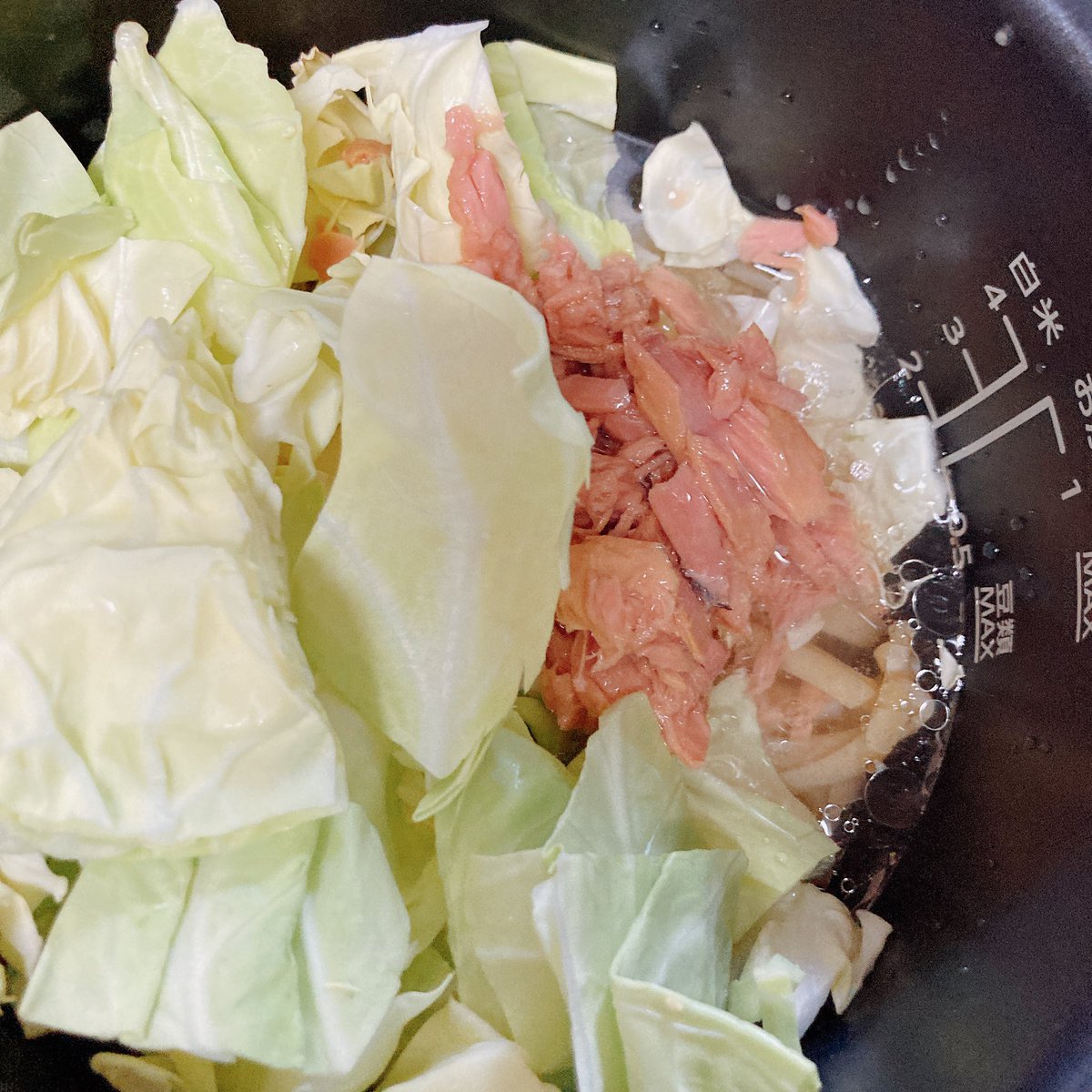 Necro1999's tweet photo. 内釜にパスタいれてー
ツナと春キャベツと水入れてー
更に茅乃舎の出汁パックの中身も入れてー
圧力3分〜
なんか最近こんなんばっか食べてるわ。
繁忙期だからしゃーない……
#ReDePot
#茅乃舎 https://t.co/cZkbvhI5rr