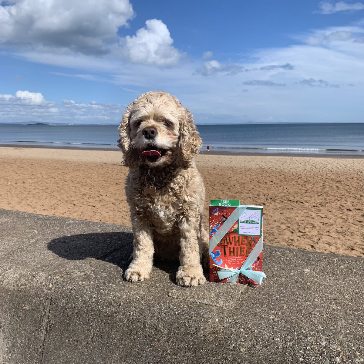 The Book Fairies are sharing copies of The Nowhere Thief by @aliceemross today! Who will be lucky enough to spot one at Porty? ✨📖🧚‍♂️

#ibelieveinbookfairies #TBFNowhereThief #TBFNosyCrow #thenowherethief #NosyCrow #AliceMRoss