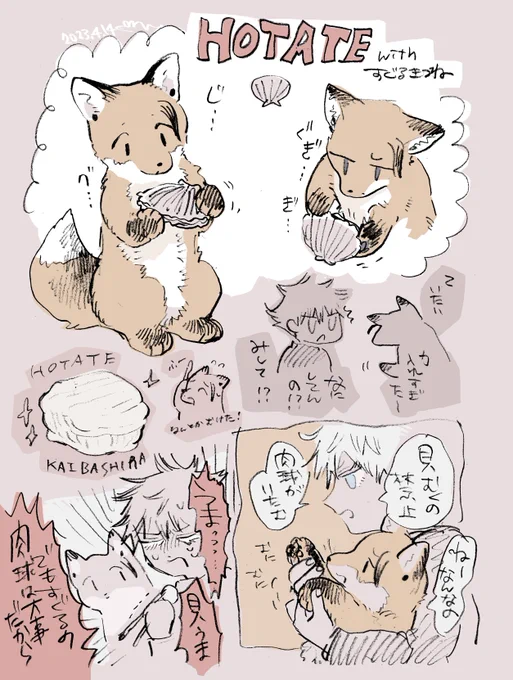 すぐる🦊とホタテ 
