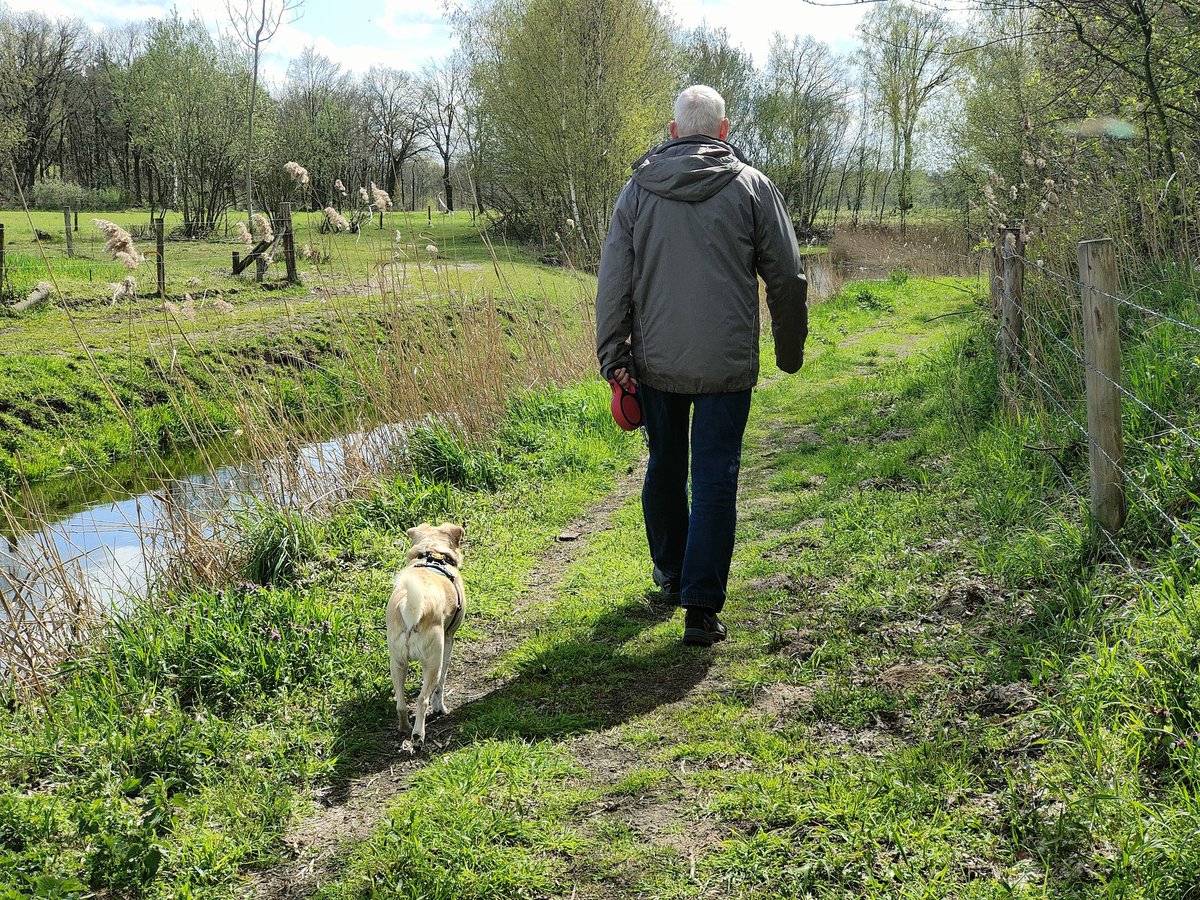 BasEnBobbie's tweet photo. Samen wandelen
Walk together
#wandelen #wandeling #samenwandelen #genieten #lekkerlos #zonderhondenriem #walking #walk #walkingtogether #offtheleash #withoutdogleash #enjoy #rescuedog #rescuedogs https://t.co/uinTPulOxU