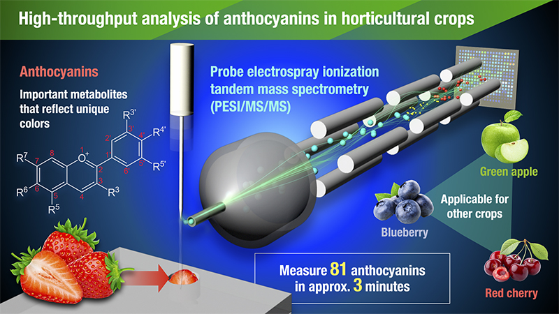 PESI/MS/MS analyses the nutritional compounds in crops

spectroscopyeurope.com/news/pesimsms-…

#MS #MassSpec #MassSpectrometry