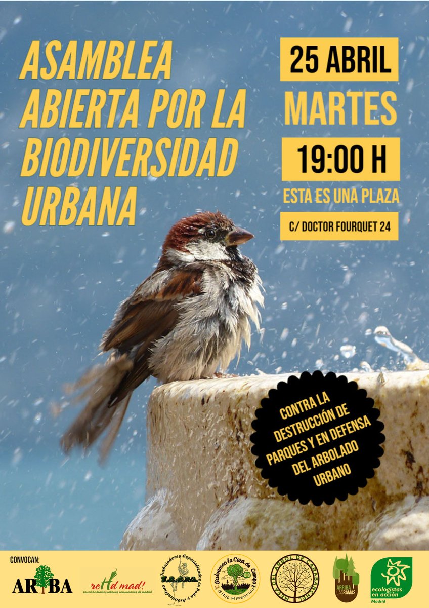 🌿Convocamos una nueva Asamblea Abierta #PorLaBiodiversidadUrbana

🐞Si eres un colectivo afectado por la mala gestión municipal o te preocupa la conservación de la naturaleza de esta ciudad, acude y une fuerzas para buscar soluciones para vivir en un #MadridVerdeHabitable.