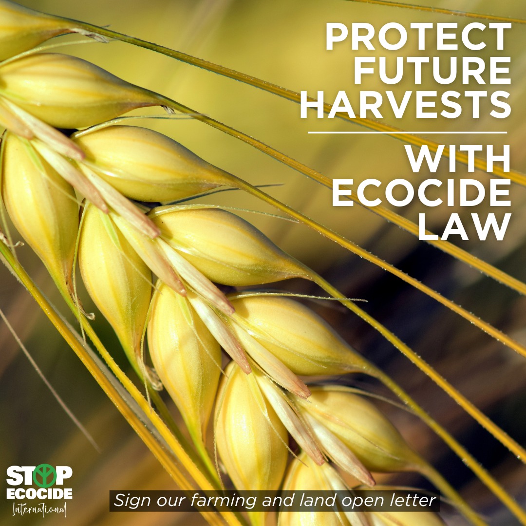 🚜🌱 Establishing an international crime of #ecocide will set parameters to deter + prevent the worst harms to nature + level the playing field for regenerative approaches to agriculture. Find out more + sign our Farming & Land open letter: stopecocide.earth/farming-and-la… #StopEcocide