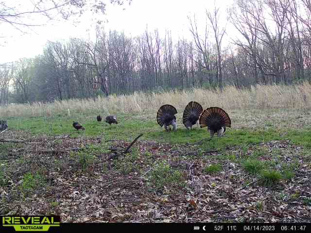 OTEOhunting's tweet photo. Illinois second season starts tomorrow- I’m ready! https://t.co/JVbLOHVgjO