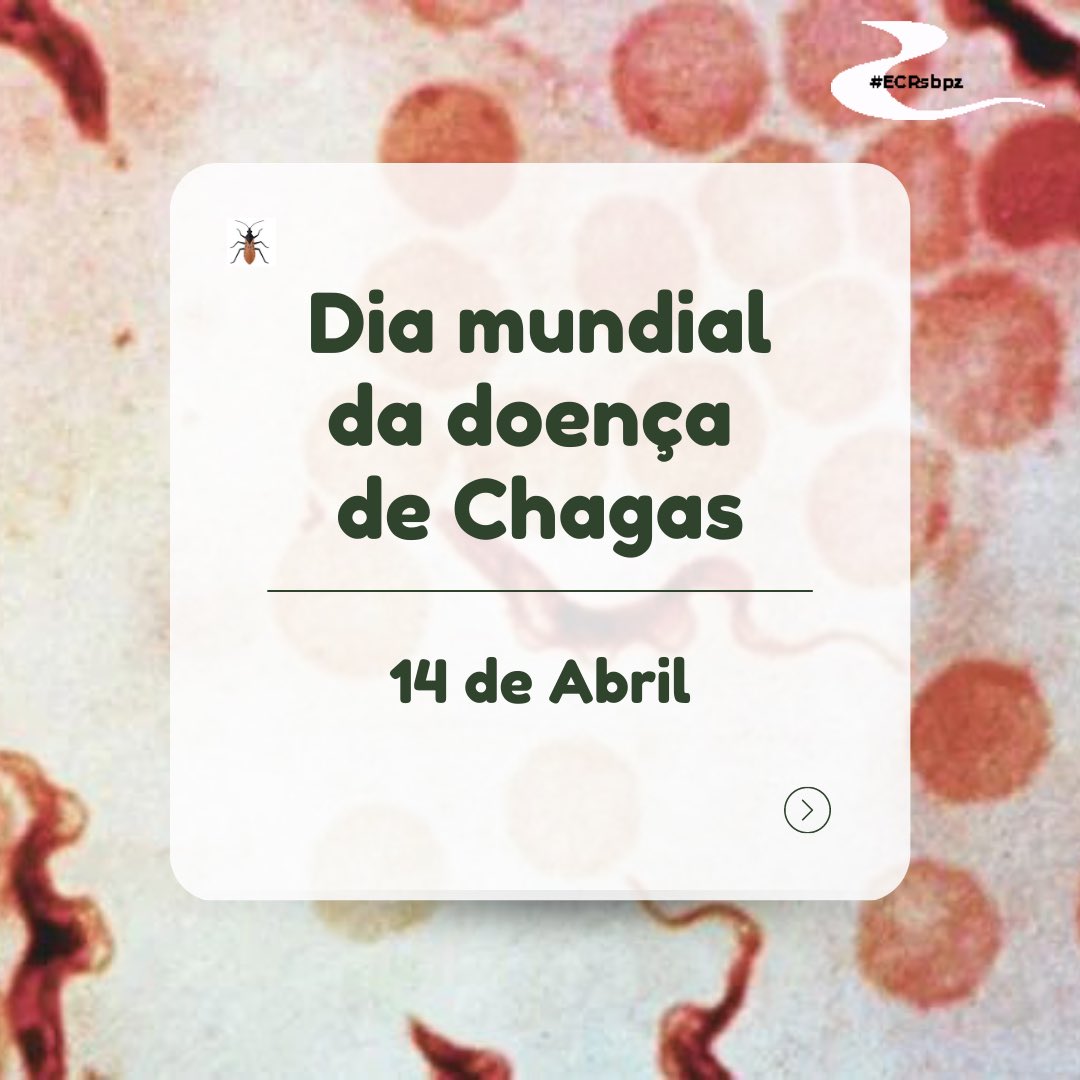 Hoje é o Dia Mundial da Doença de Chagas, uma doença que afeta mais de 6 milhões de pessoas e para a qual tratamentos e diagnósticos ainda são um desafio. Separamos aqui alguns fatos e curiosidades. Segue o fio 🧶 #ECRsbpz #WorldChagasDay