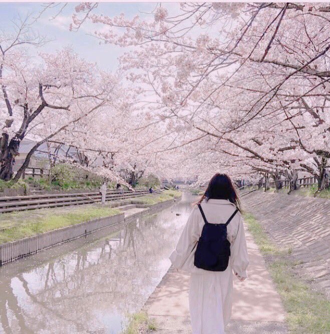 長く遊べるフレンド募集してます❕❕
漁るのだけは早いです❕
大勢の会話得意じゃないのでデュオしかできないです💦
楽しくしましょ〜( ˶˙ᵕ˙˶ )
#apexランク募集ps4
#Apexフレンド募集 
#Apex自己紹介カード 
#APEX