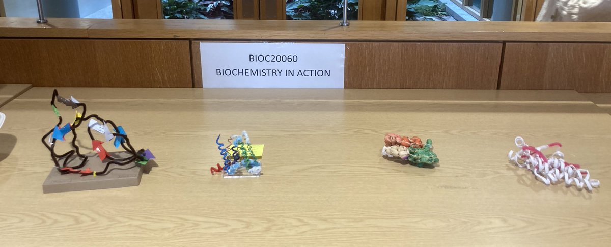 BiochemUCD's tweet image. The annual Stage 2 Protein structure modelling competition also generated some amazing structures.  The students are challenged to create a protein structure using regular materials, giving them a 3-D insight to proteins. These are (LtoR) disintegtin, opiod receptor mu, and src.
