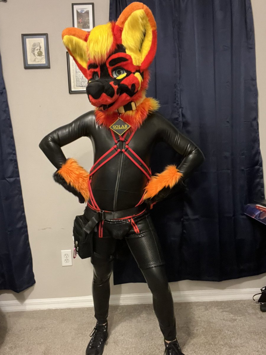 taysolflare's tweet photo. Trying on outfits for #PUSHDurham this weekend and #FWA2023 next month…watcha think?
🐾 
🐾 
🐾 
#fursuitfriday #thekareliafursuits #fursuit #latexcatsuit #squeakyeveryday https://t.co/NqZs9AU97j