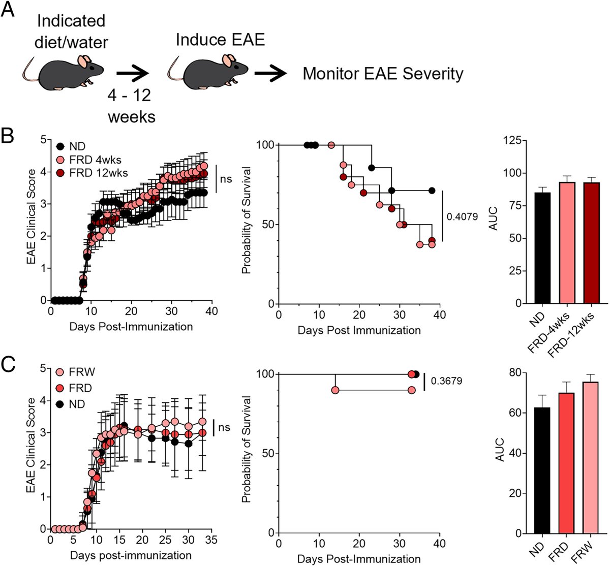 ImmunoHorizons's tweet photo. #NewinIH: @Ashu_Mangalam @IowaMed fructose-rich diet modulates the #gutmicrobiome & immune system without significantly impacting #EAE #ReadIH #OpenAccess #immunology π https://t.co/jymyTazUQc https://t.co/CQIHiYturd