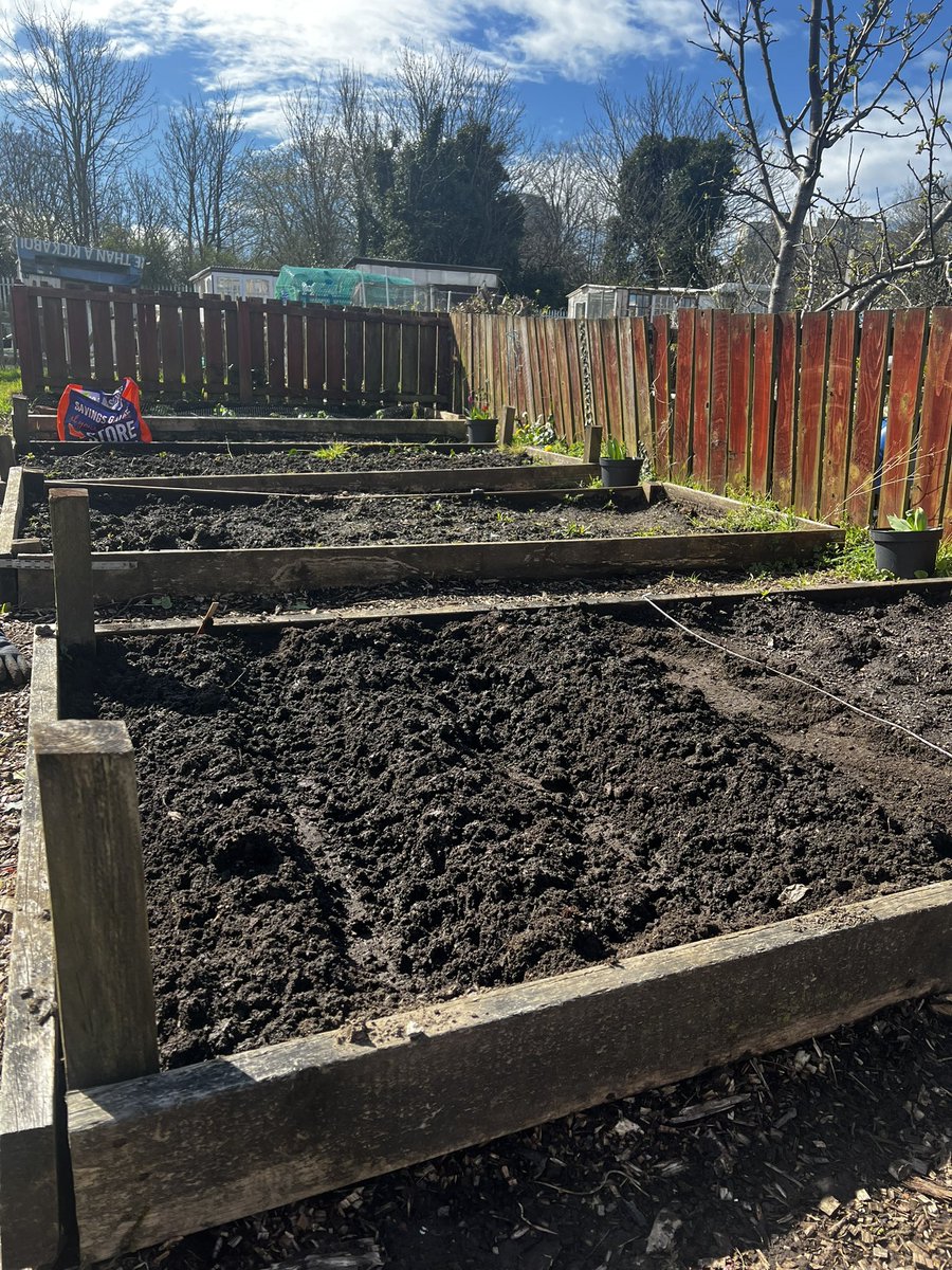 DanielGall1234's tweet photo. Team work in the sun this morning at our allotment group 🥕🍅🥦🧅🧄
Tatties planted ✅
Herbs planted ✅
Sunflowers planted✅
Strawberry patch tidied up ready for more ✅
@MoiraForensicOT  @cheryl_mcmorris  @NHSGGCOTS https://t.co/s4Ygg9POU2