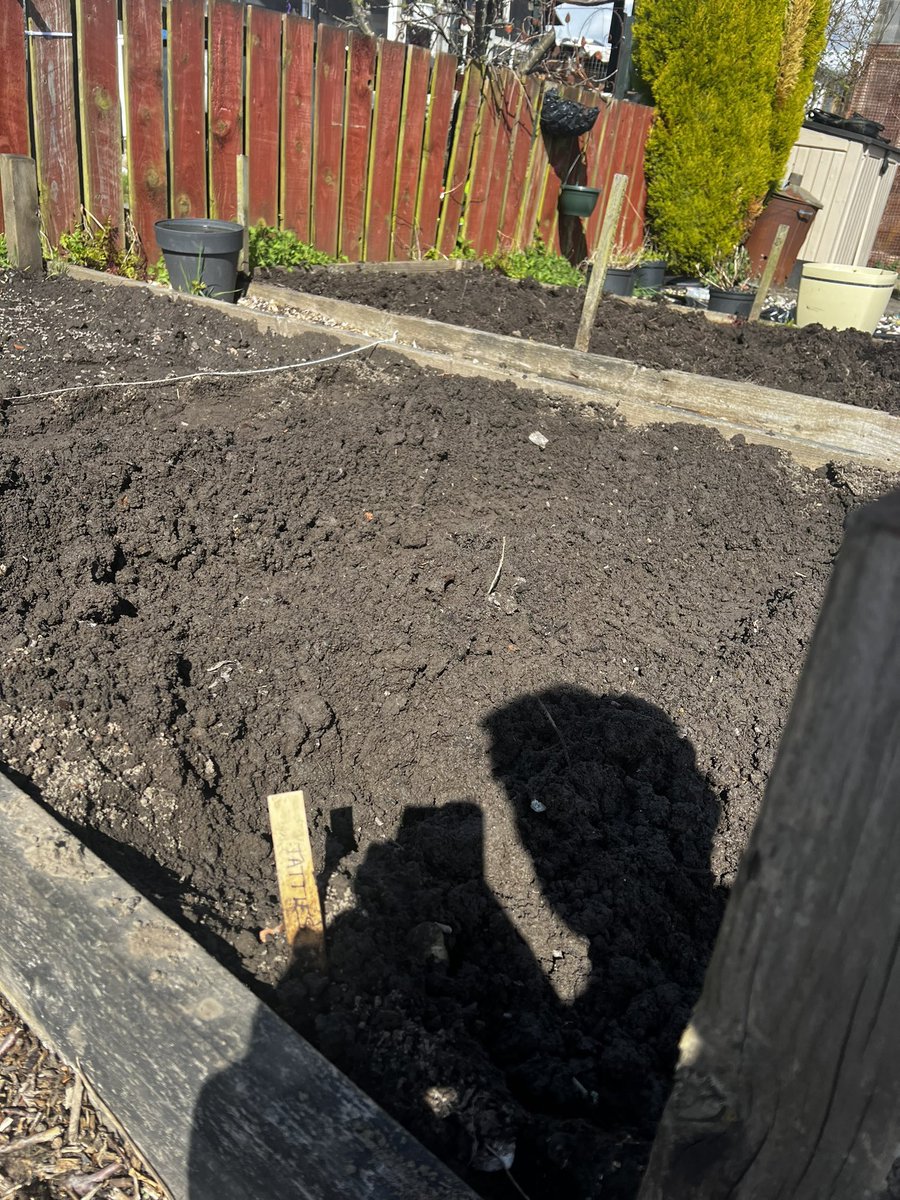 DanielGall1234's tweet photo. Team work in the sun this morning at our allotment group 🥕🍅🥦🧅🧄
Tatties planted ✅
Herbs planted ✅
Sunflowers planted✅
Strawberry patch tidied up ready for more ✅
@MoiraForensicOT  @cheryl_mcmorris  @NHSGGCOTS https://t.co/s4Ygg9POU2