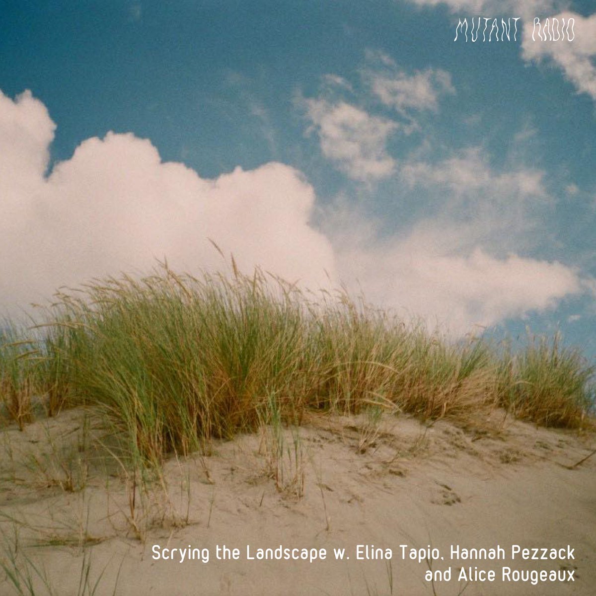 Hannah Pezzack tweet media