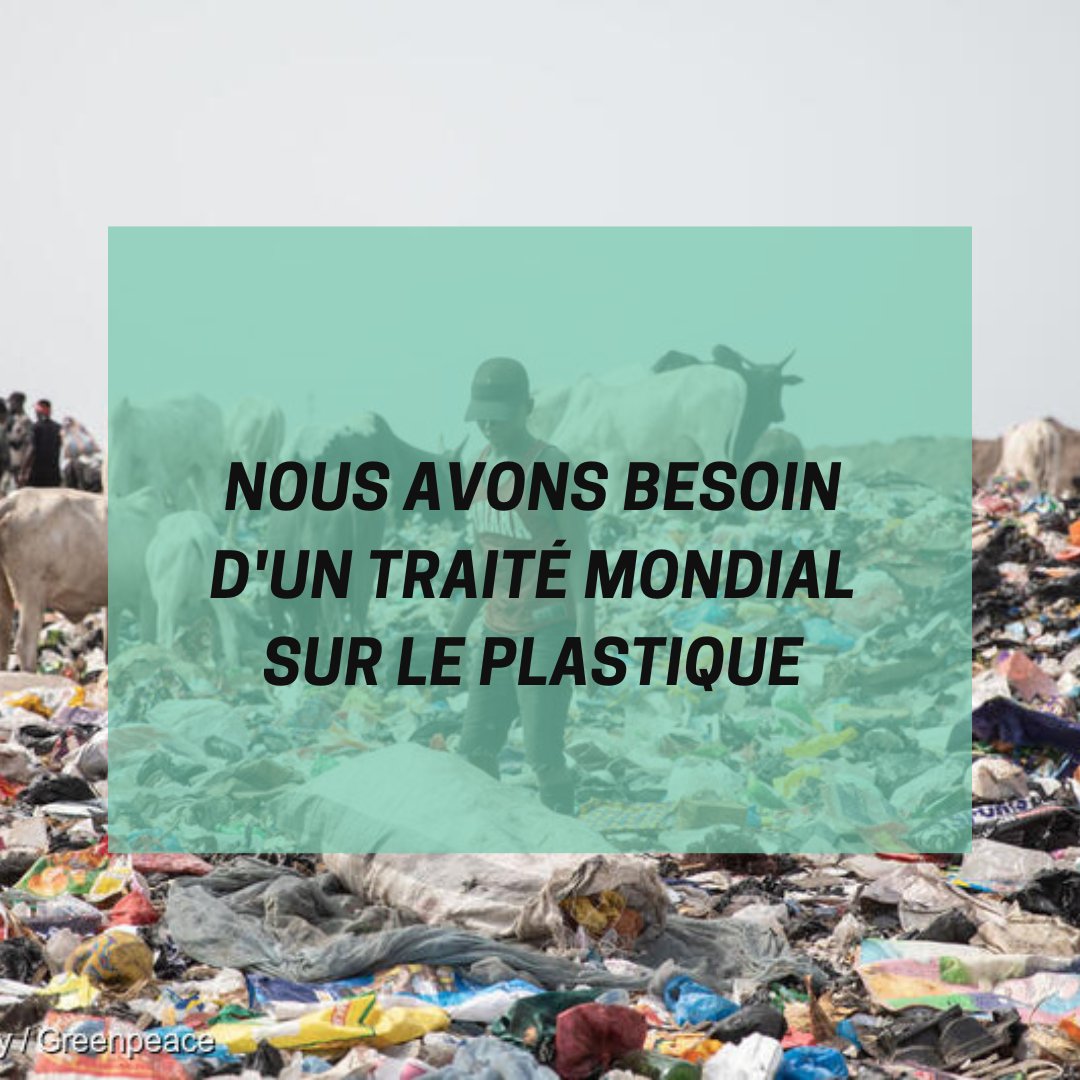 Un traité mondial sur les plastiques efficace signifie un avenir sans plastique à usage unique :

🥧 dans la nourriture que nous mangeons
🌬️ dans l'air que nous respirons
🌈 dans la nature

Soutenez ceci ici 👉 act.gp/3BmPRoZ