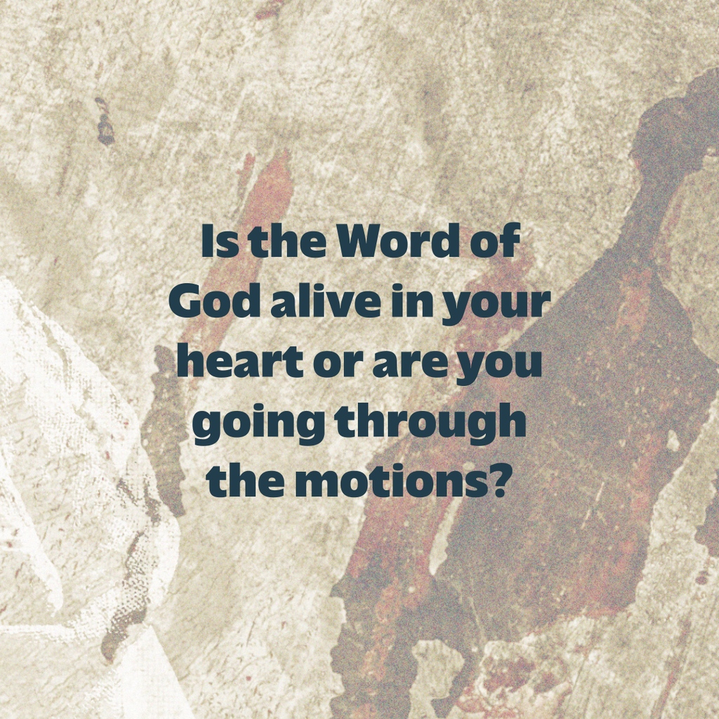 ShandonBaptist tweet media