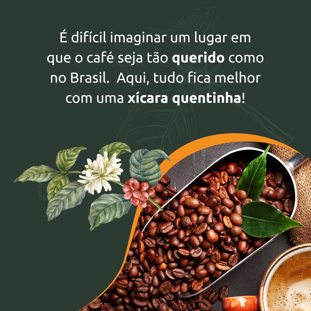 sistemafaemg's tweet photo. ☕ No Dia Mundial do Café, parabenizamos os cafeicultores mineiros!
#DiaMundialdoCafé #Café #SistemaFaemg #SenarMinas #ATeG #Cursos #Programas #Cafeicultura https://t.co/1CnBzu3lqa