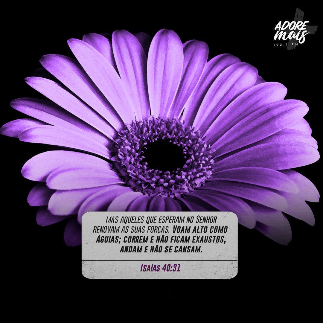 Amém?  💜🔥

mas aqueles que esperam no Senhor
renovam as suas forças. 
Voam alto como águias;
correm e não ficam exaustos,
andam e não se cansam.

 Isaías 40:31

#adoremaisfm #versiculo #versiculododia #evangelho