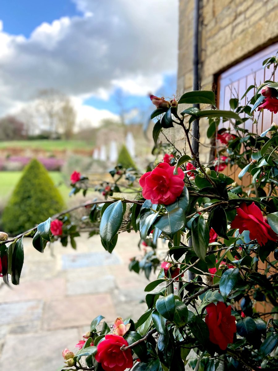 Buckland Manor tweet media