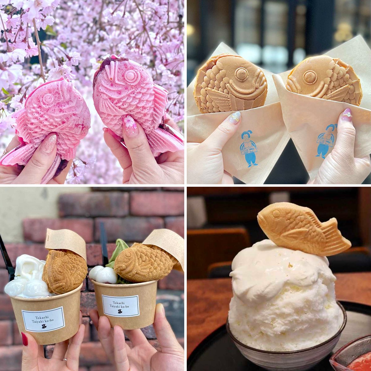 たい焼き速報@日本鯛焼協会 (@taiyaki_lovely) / Twitter たい焼き速報@日本鯛焼協会 (@taiyaki_lovely) / Twitter
