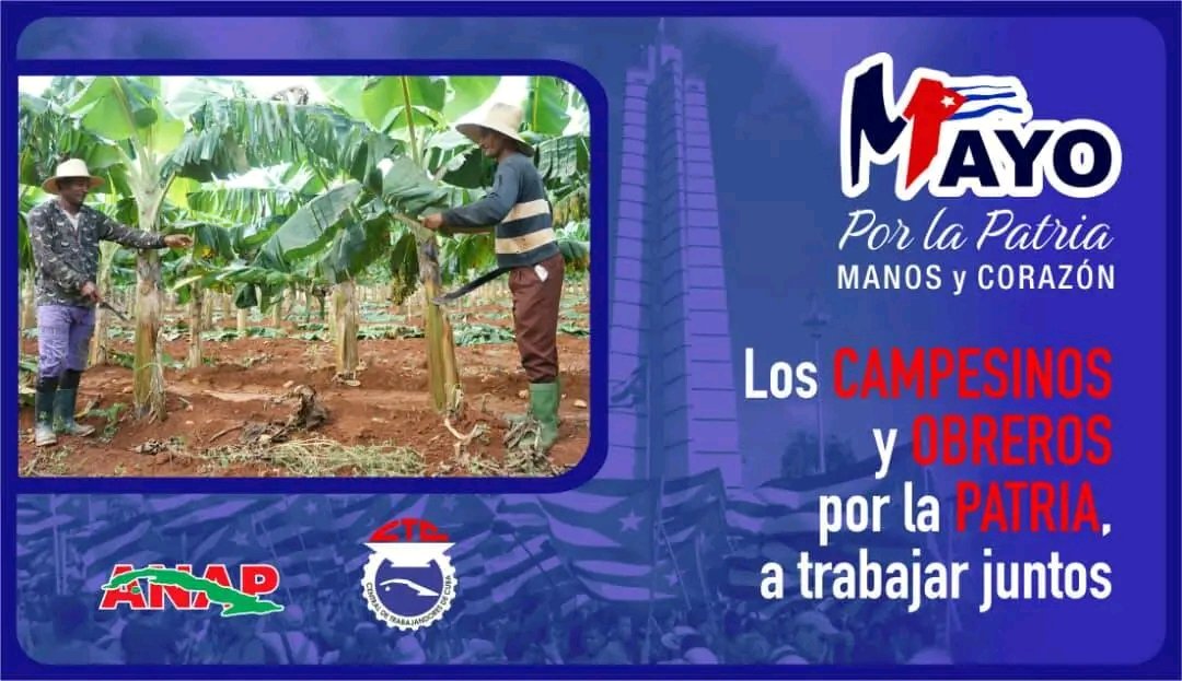 GEORGE80283962's tweet image. #FidelPorSiempre :
¡Que renuncien los cobardes, que renuncien los que no tienen fe, que al deber no se renuncia, a la lucha no se renuncia! 
Por eso los campesinos no renunciaremos #Jamás y estaremos el 1ro en la Plazas Cubanas.
#ALaPatriaManosYCorazon
@RamnMonte1 
@RafaelAnap