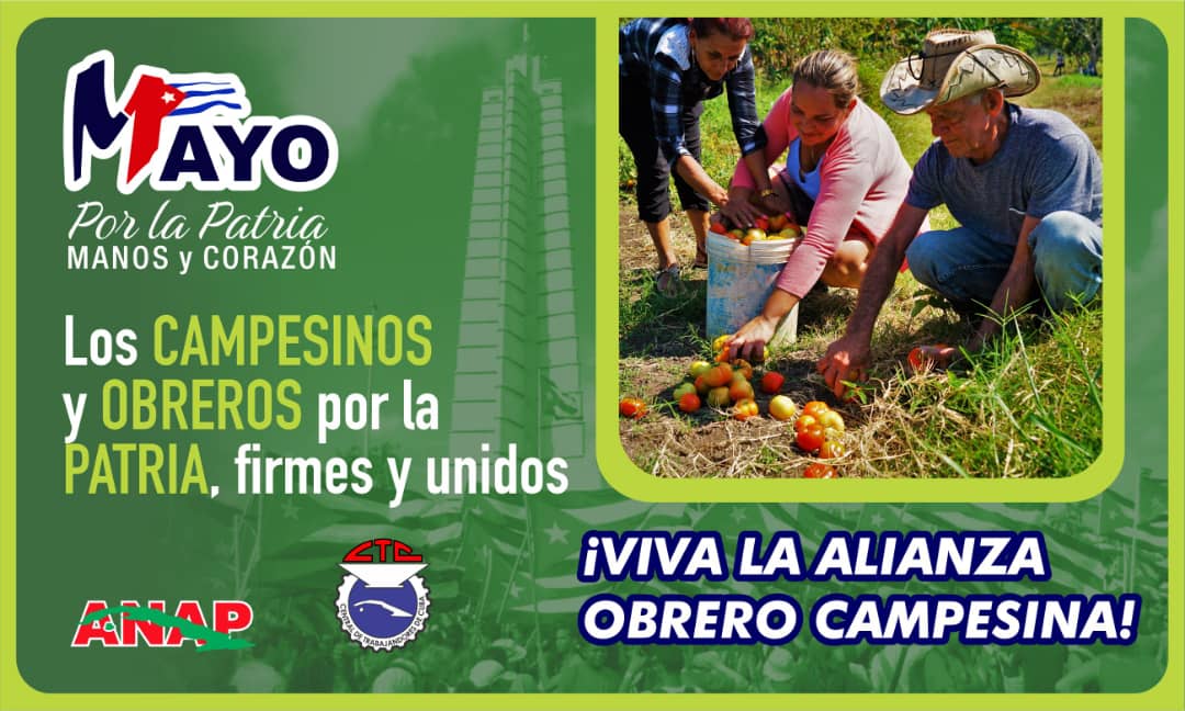 GEORGE80283962's tweet image. #FidelPorSiempre :
¡Que renuncien los cobardes, que renuncien los que no tienen fe, que al deber no se renuncia, a la lucha no se renuncia! 
Por eso los campesinos no renunciaremos #Jamás y estaremos el 1ro en la Plazas Cubanas.
#ALaPatriaManosYCorazon
@RamnMonte1 
@RafaelAnap