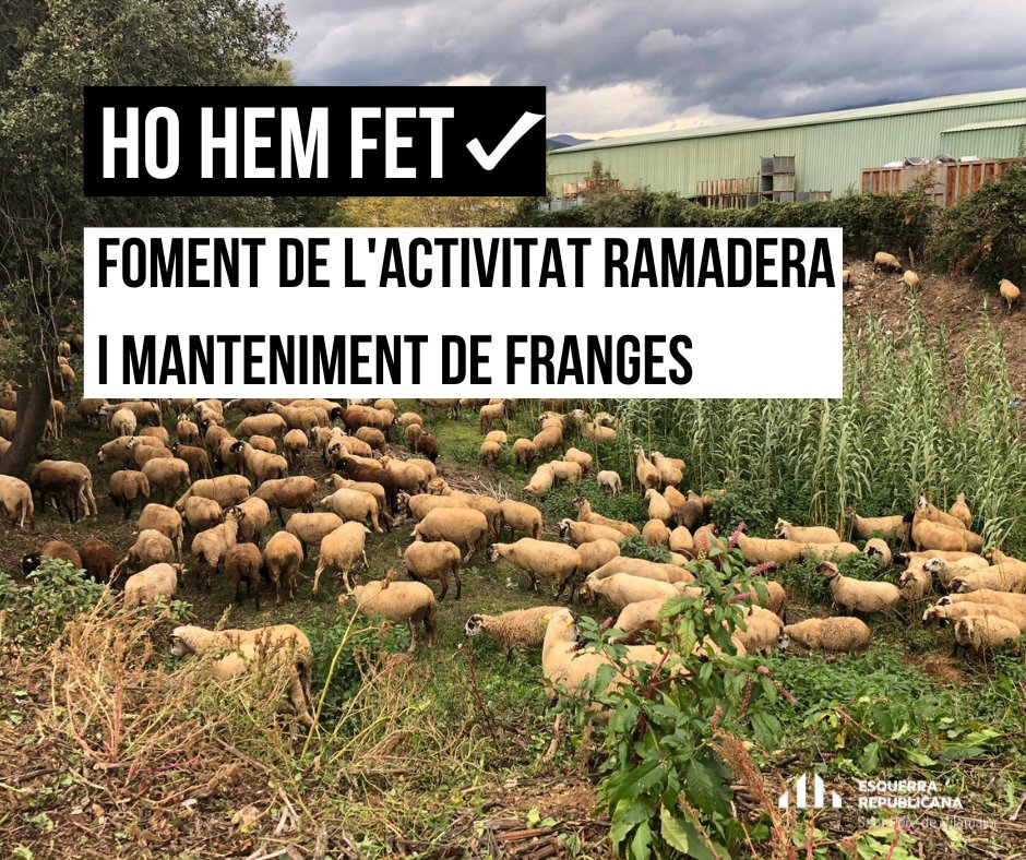 ErcStpere's tweet photo. 📢  Hem fomentat l'activitat ramadera i aquests ramats ajuden al manteniment de les franges de protecció d'incendi.

#SempreHiSom #Útils https://t.co/PWdkxrnUmj