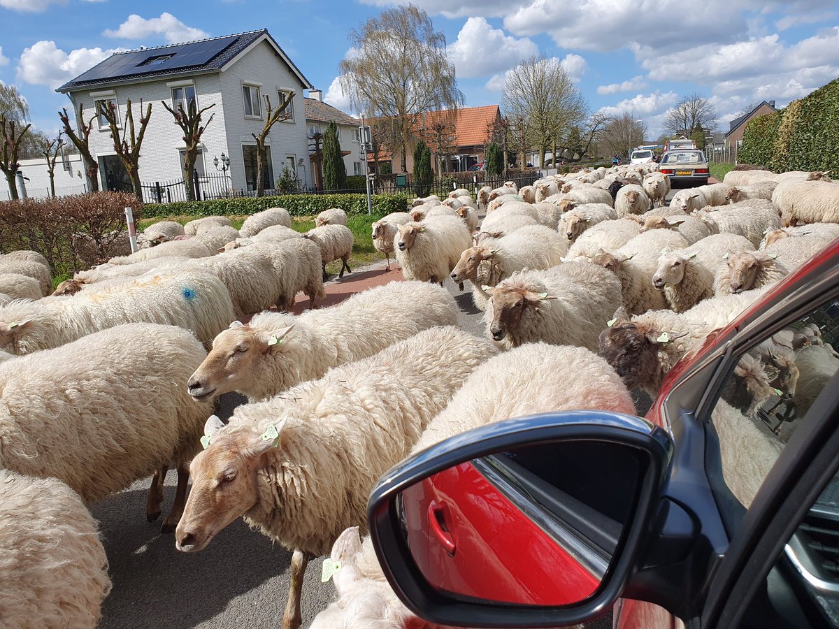 Henry van Galen tweet media