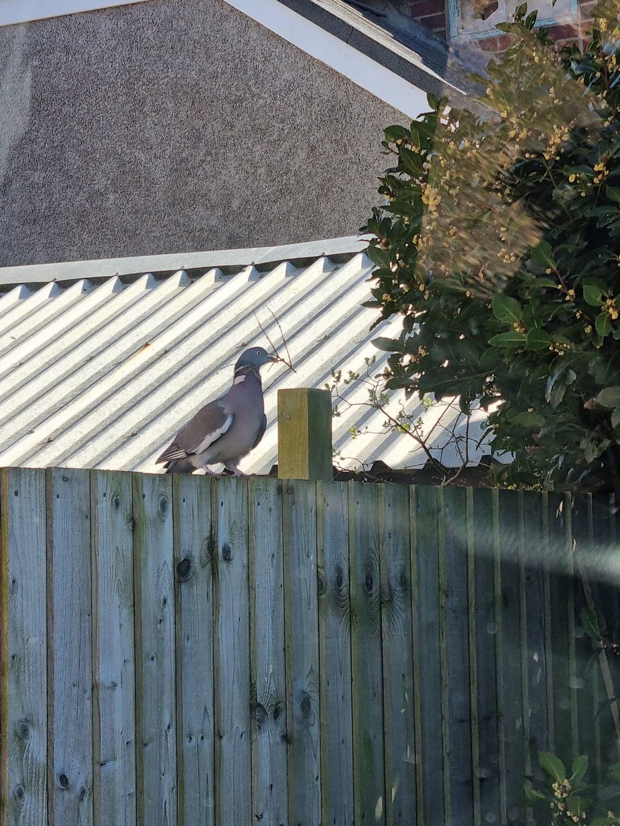 lizardschwartz's tweet image. *not suspicious*