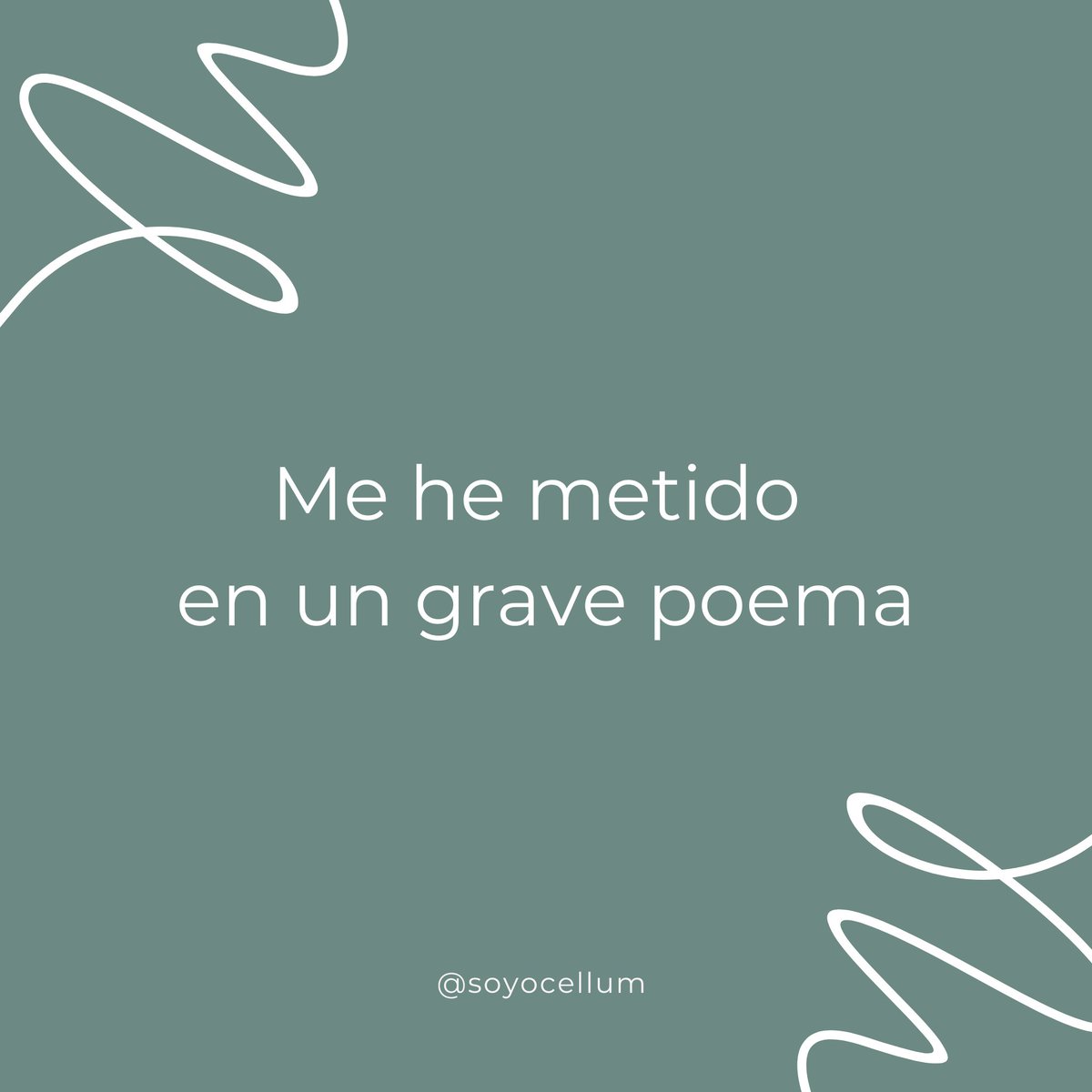 ø — Ocellum❞ tweet media