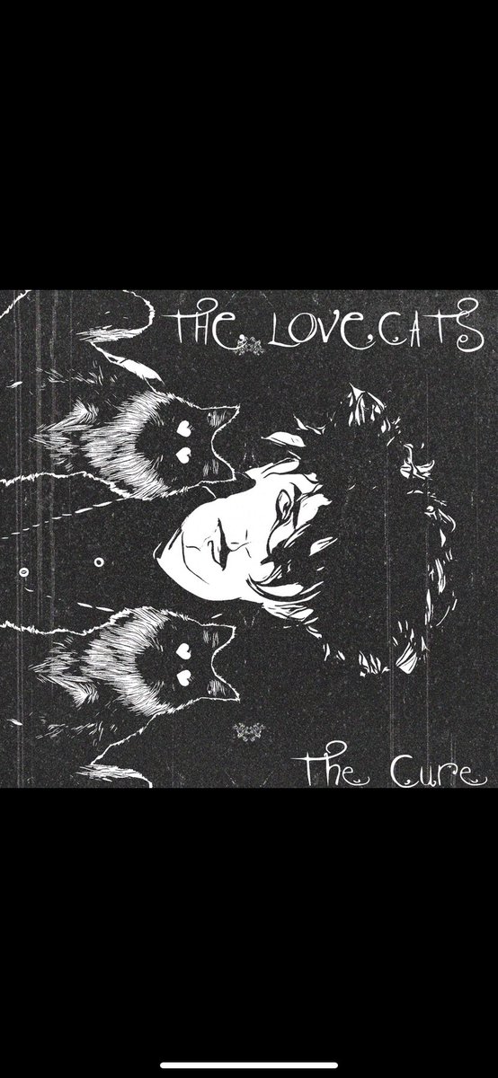 daniel o’neill🥸 tweet media