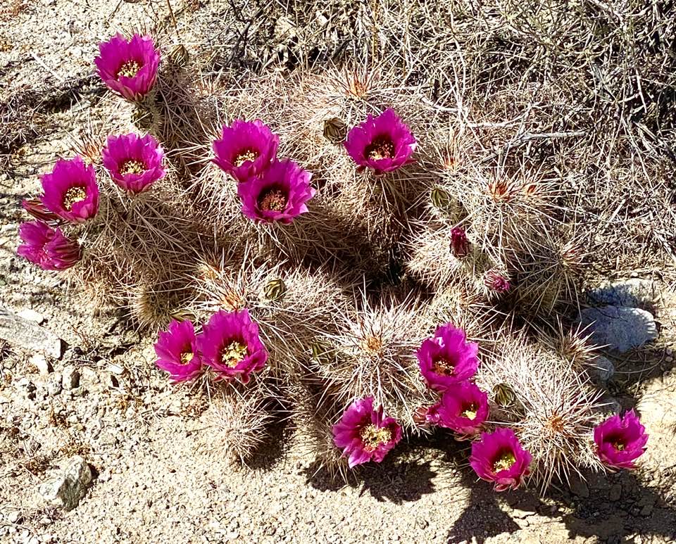 JustCoolStories's tweet image. For those of you writers who've had a dry spell of late.

(Credit: Ruth Nolan.)

#WritingCommunity #photo #photograph #writing #writingprompt #storytelling #novel #shortstories #Reading #book #readingcommunity #cool