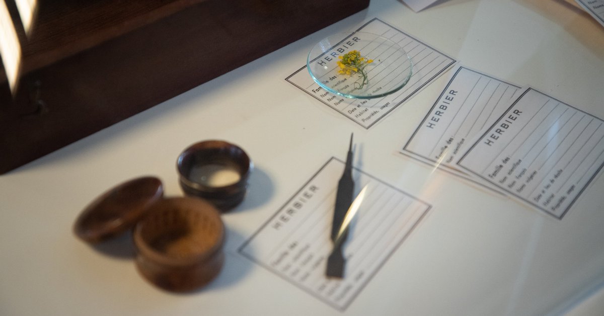 Universite_Caen's tweet photo. 🍁🌿 #Exposition | 👩‍🎓 À l'occasion de l'exposition de l'Herbier #UNICAEN, découvrez le portrait de Judith, étudiante en #master Information &amp; #Médiation scientifique et technique à l'UFR des Sciences : https://t.co/heYkGo77us https://t.co/PH0Xe2qA55