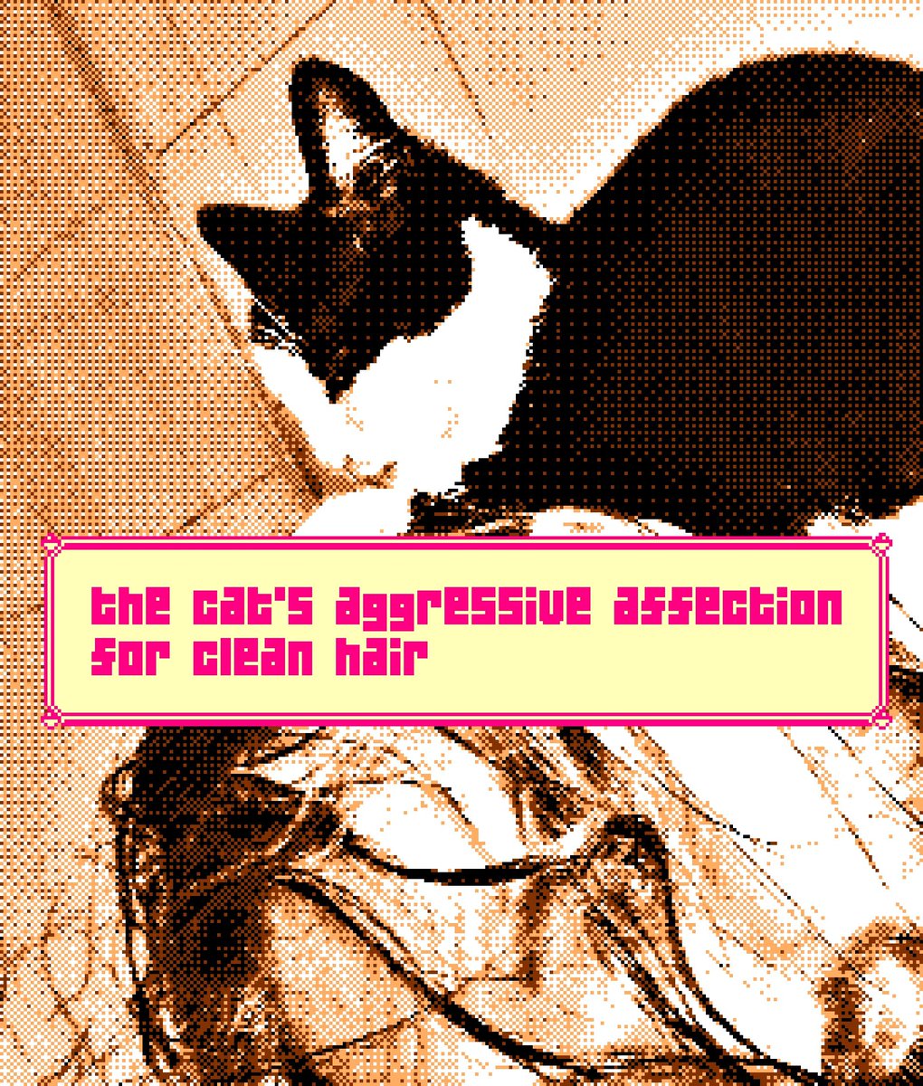 Michael16510918's tweet photo. Cats cats cats obnoxious filters!

#CatsOfTwitter https://t.co/N4vzAr63jv