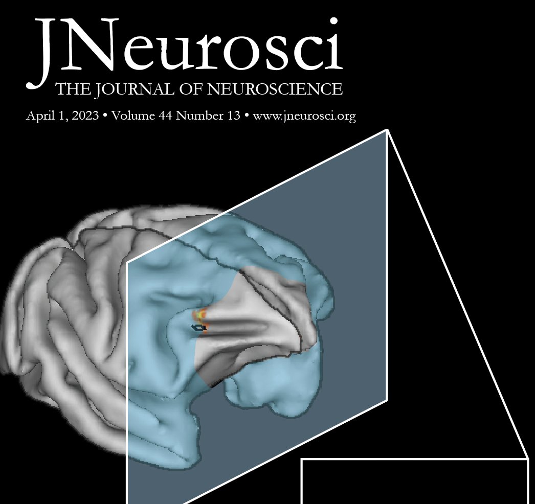 In a new article, Prof. Theresa Desrochers' and colleagues showed that abstract sequential monitoring - the cognitive processes needed to keep track of  sequential, abstract instructions like making a meal  - occurs in the prefrontal cortex.

Learn more @ ow.ly/gzAO50NJ5QH