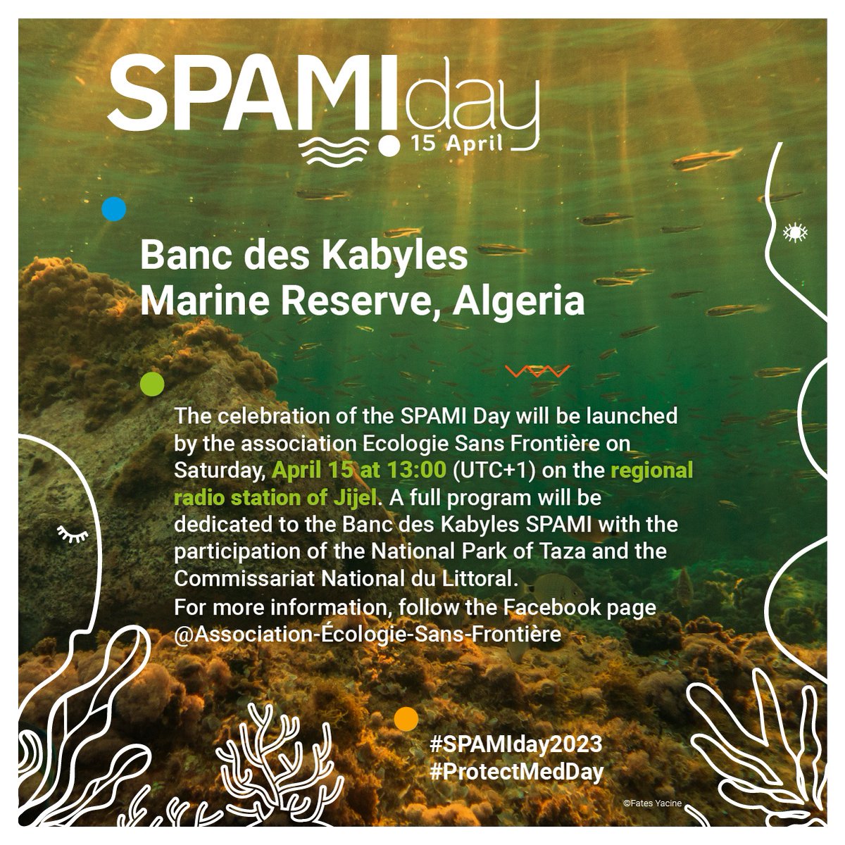 SPARACinfos's tweet photo. Demain 15 avril aura lieu la 2ème édition de la SPAMI Day, qui célèbre les Aires Spécialement Protégées d'Importance Méditerranéenne et la Conservation de la #Biodiversité Marine. Voici un aperçu des événements organisés dans les #ASPIM
⭐️🌊 #SPAMIday2023 https://t.co/4dy8o5ICZx